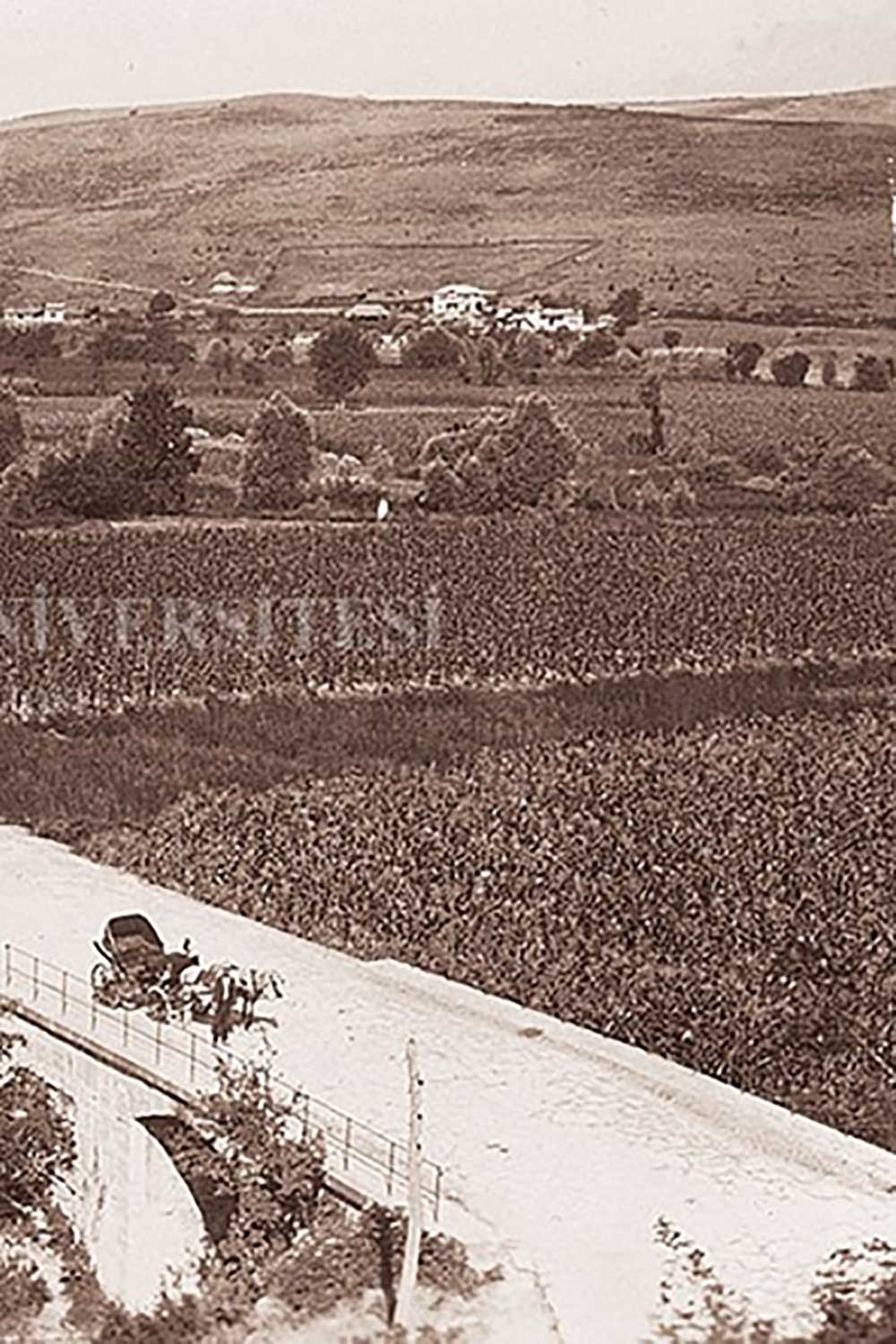 Bizans İmparatoru Justinianus